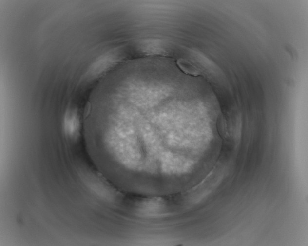 X0000113310124200910131116