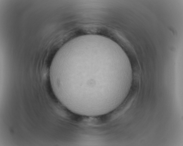 X0000113310125200910131116