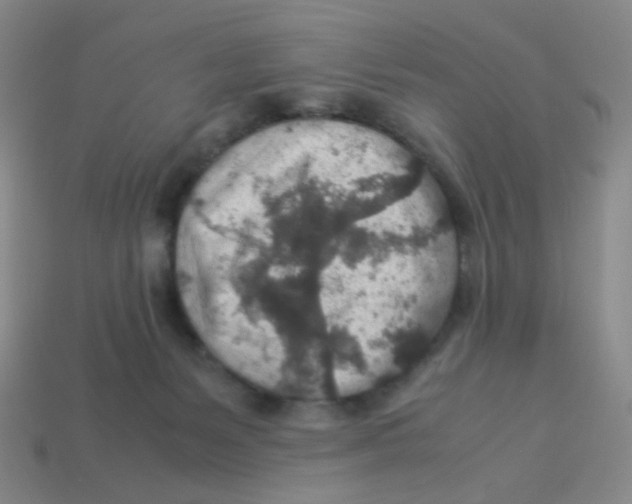 X0000113310127200910131115