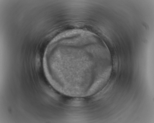 X0000113310128200910131115