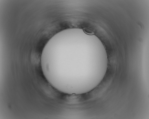 X0000113310129200910131115