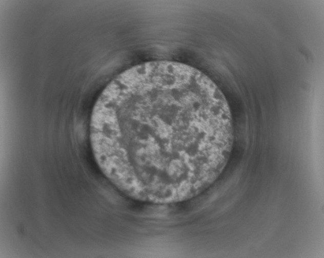 X0000113310131200910131115