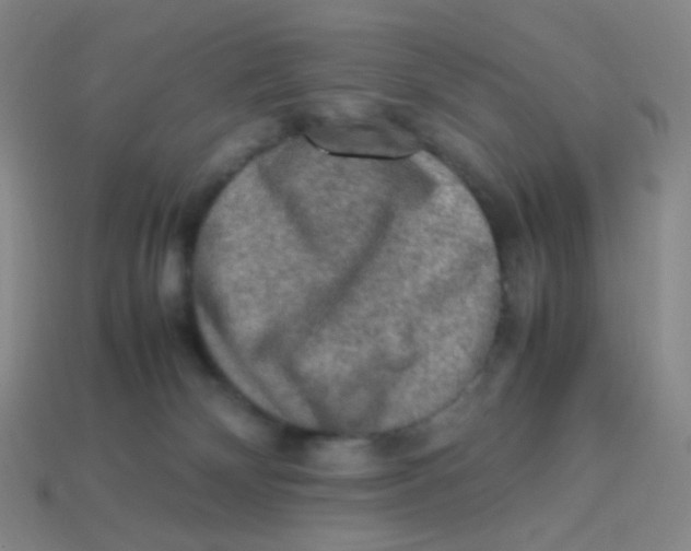 X0000113310132200910131115