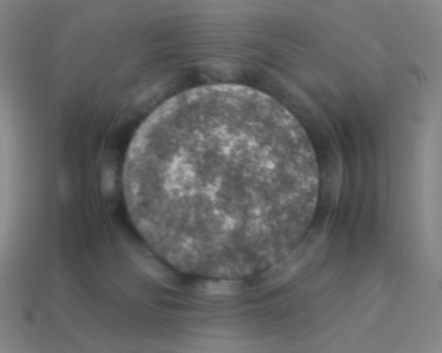 X0000113310134200910131115