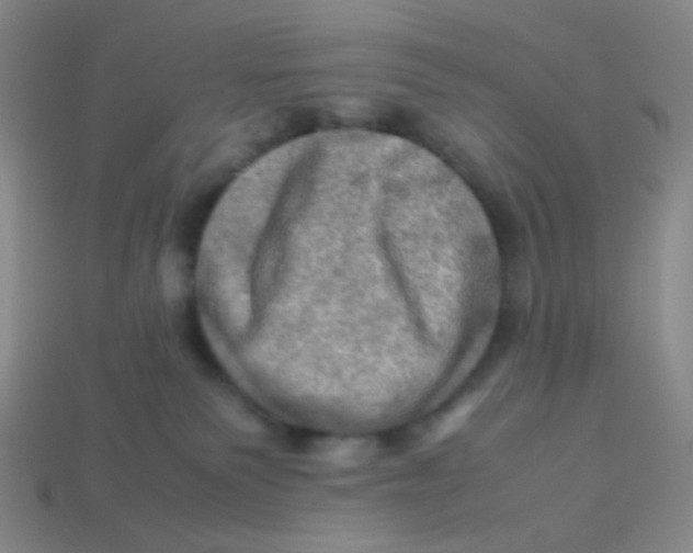 X0000113310135200910131115