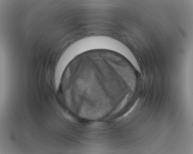 X0000113310136200910131115