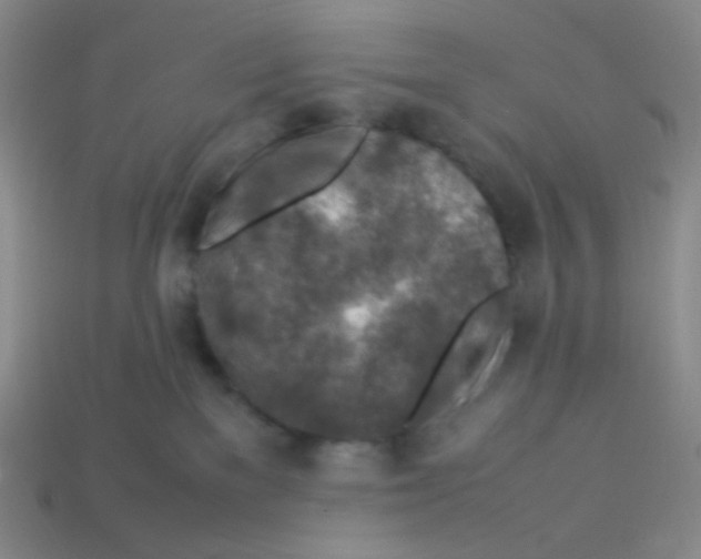 X0000113310137200910131115