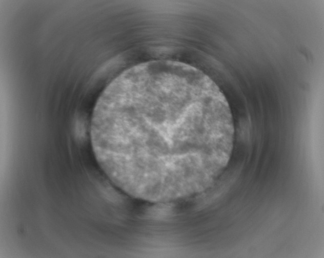 X0000113310138200910131115