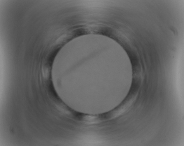 X0000113310139200910131115