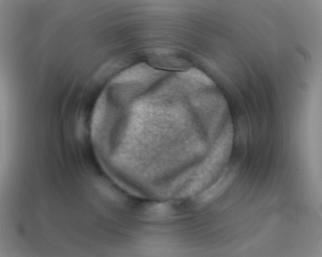 X0000113310140200910131115