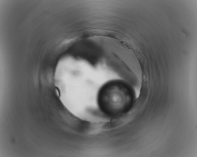 X0000113310143200910131115