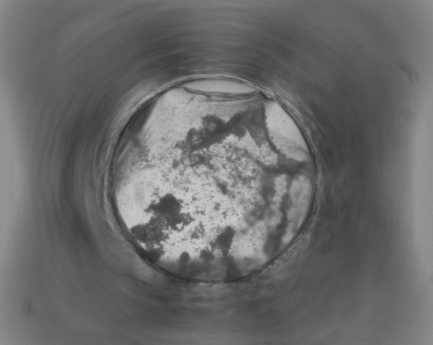 X0000113310145200910131115