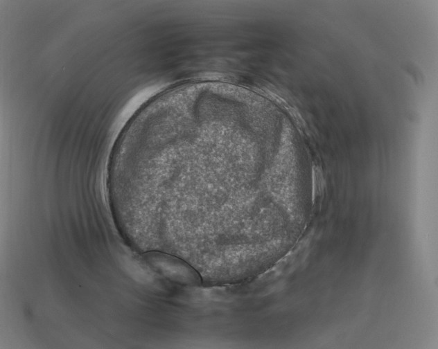 X0000113310147200910131115
