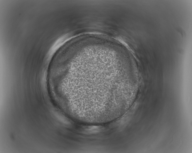 X0000113310151200910131115