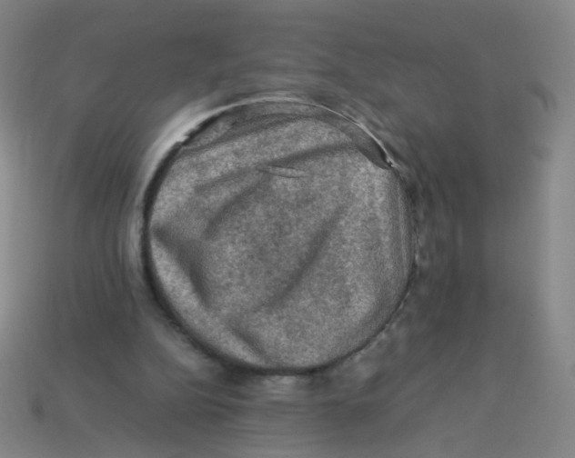 X0000113310152200910131115