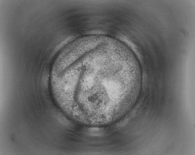 X0000113310153200910131115