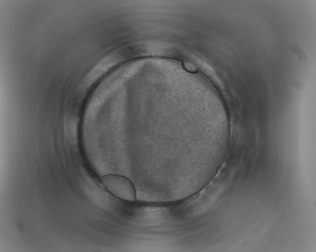 X0000113310154200910131115