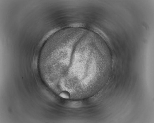 X0000113310155200910131115