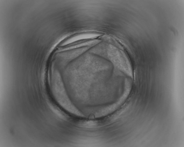 X0000113310156200910131115