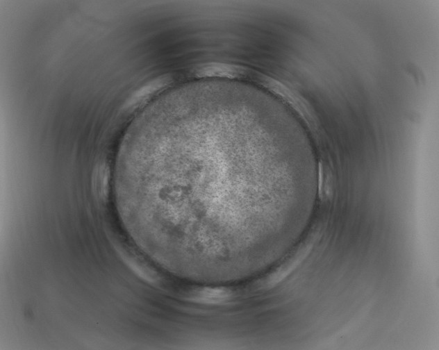 X0000113310157200910131115