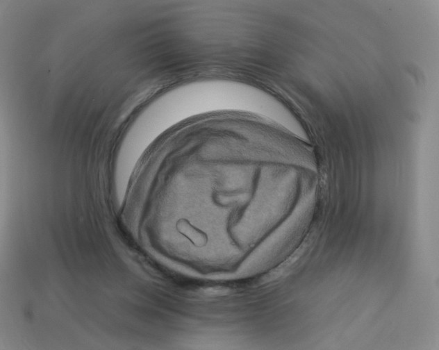 X0000113310158200910131115