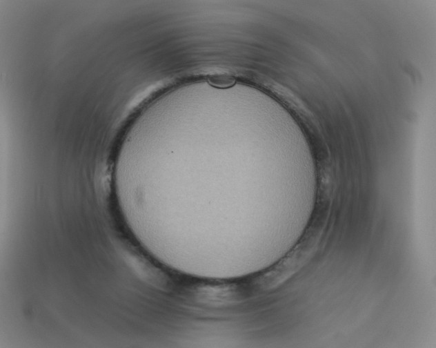 X0000113310160200910131115