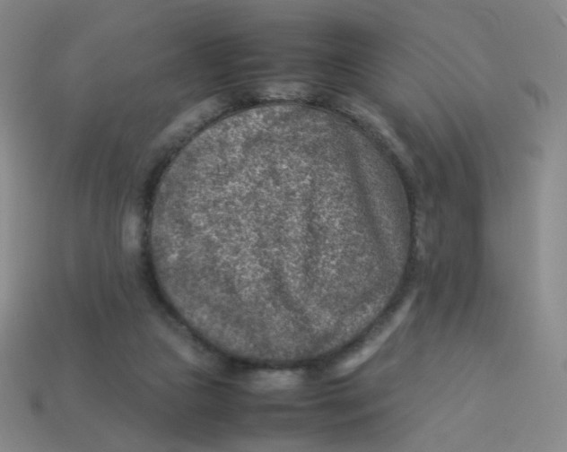 X0000113310161200910131115