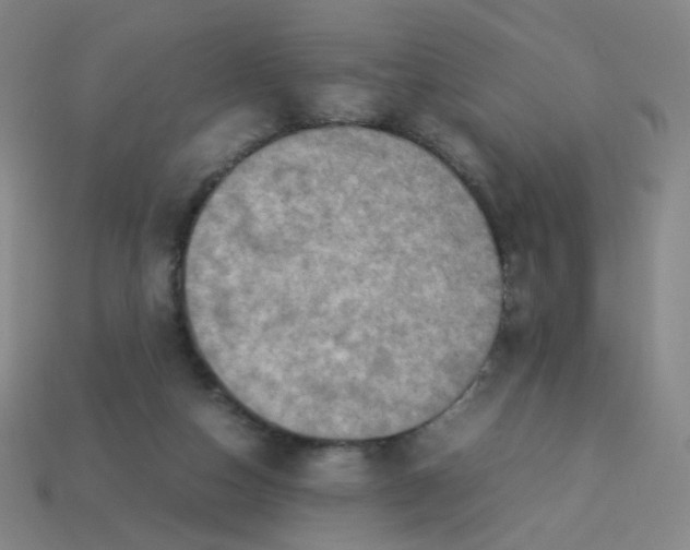 X0000113310162200910131115