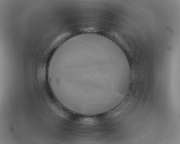 X0000113310163200910131115