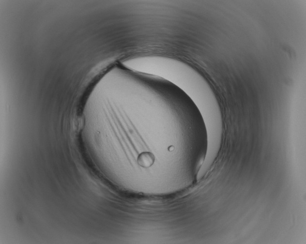 X0000113310164200910131115