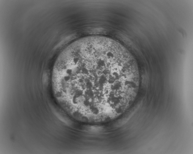 X0000113310165200910131115