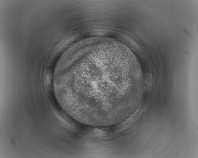 X0000113310166200910131115