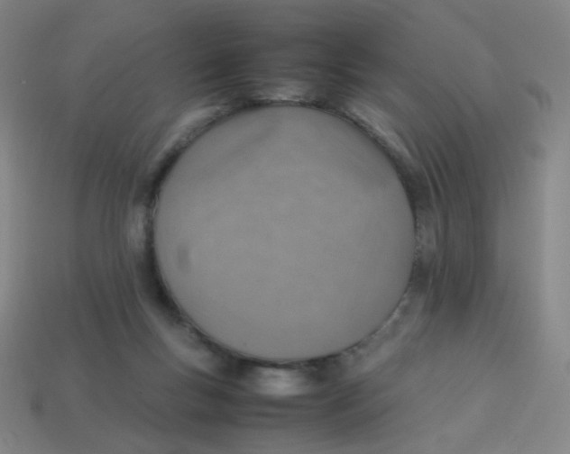X0000113310167200910131115