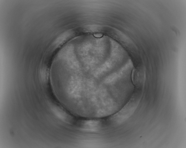 X0000113310168200910131115
