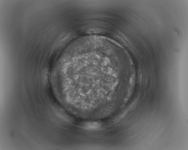 X0000113310169200910131115