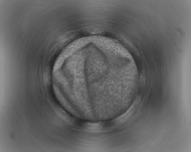 X0000113310170200910131115