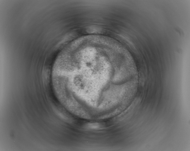 X0000113310171200910131115