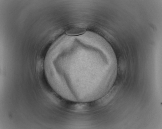 X0000113310172200910131115