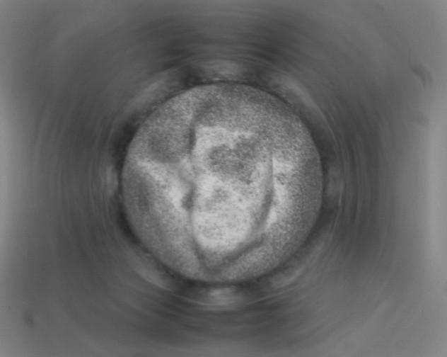 X0000113310173200910131115