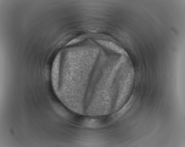 X0000113310174200910131115