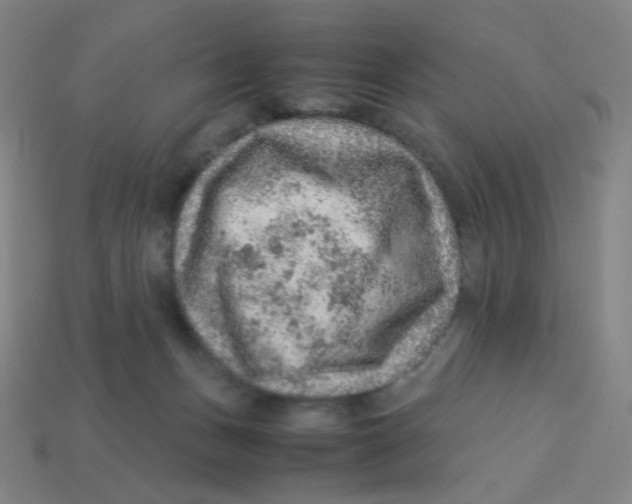 X0000113310175200910131115