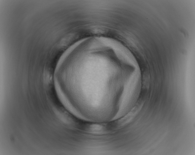 X0000113310176200910131115