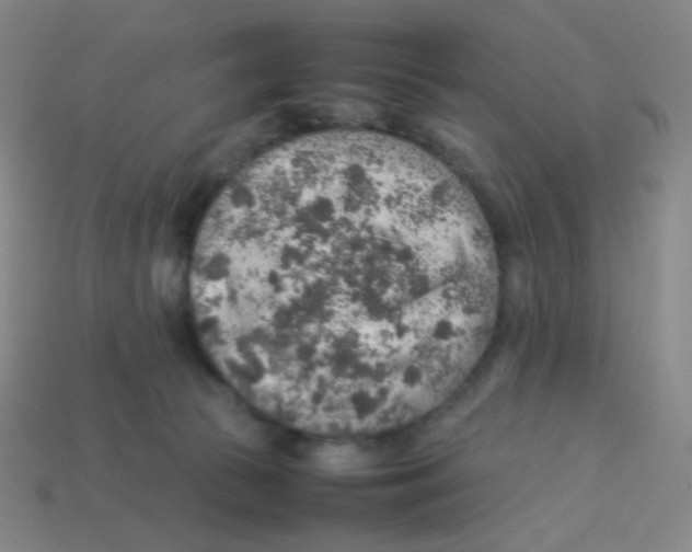 X0000113310177200910131115