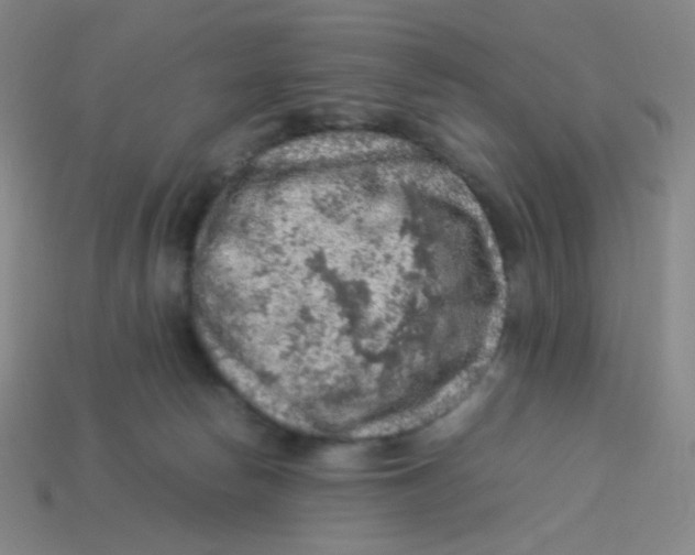 X0000113310178200910131115