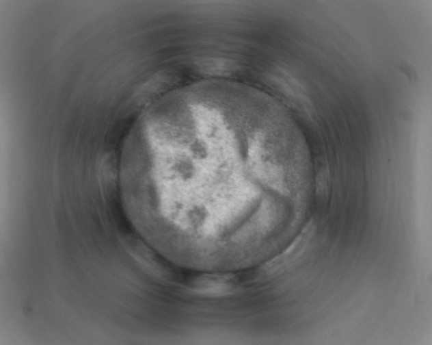 X0000113310179200910131115