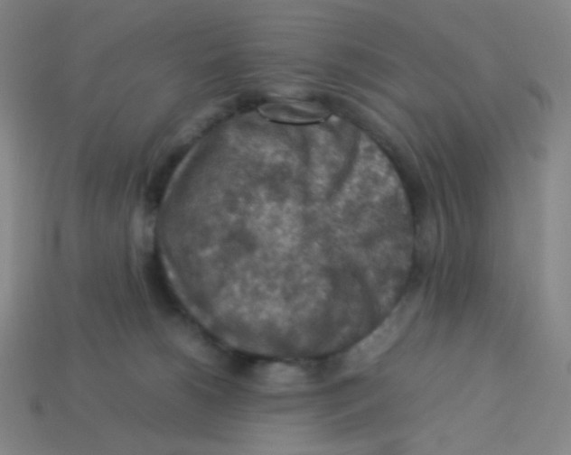X0000113310180200910131115