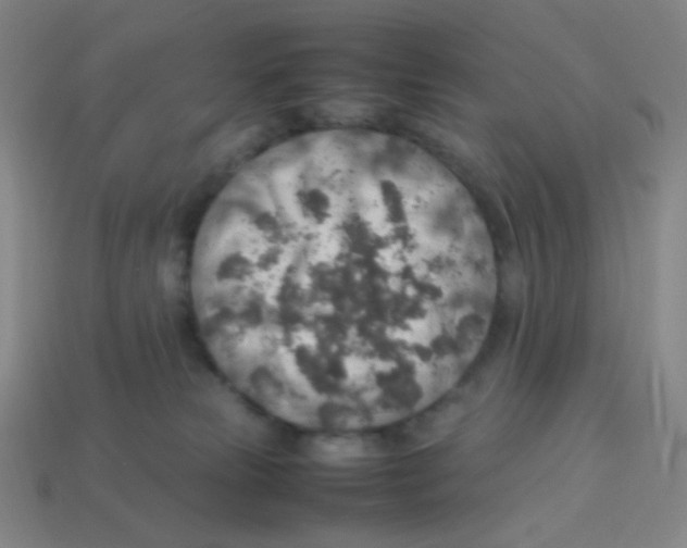 X0000113310181200910131115