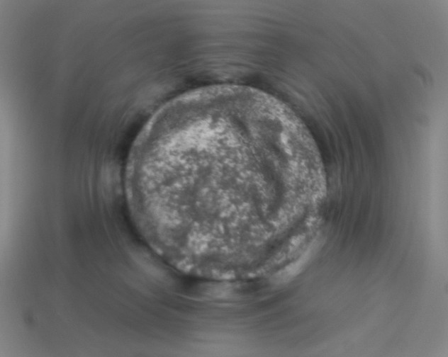 X0000113310182200910131115