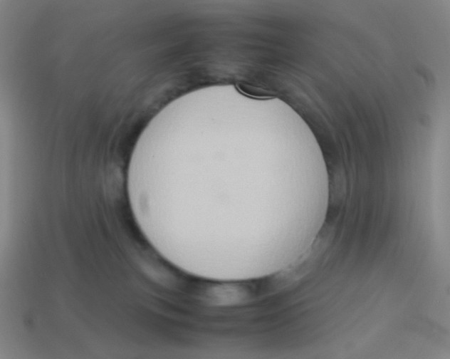 X0000113310183200910131115