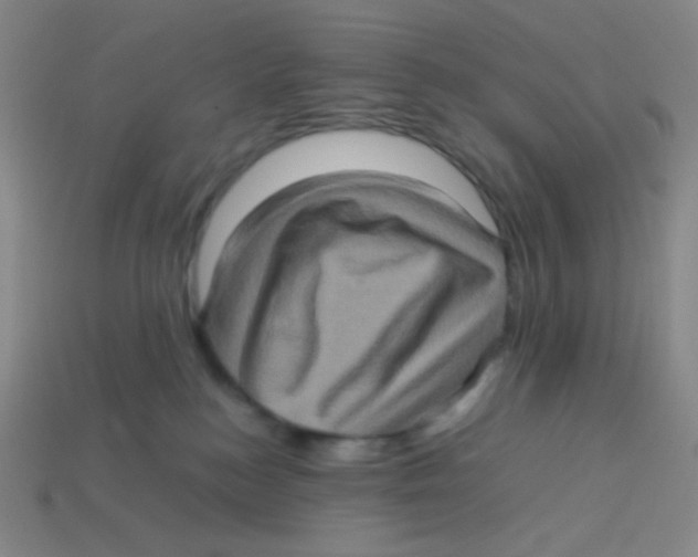 X0000113310184200910131115